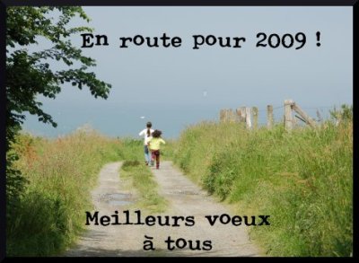 voeux2009